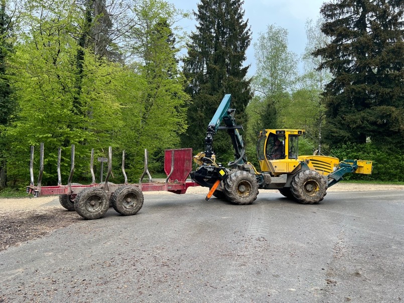 Forst 2